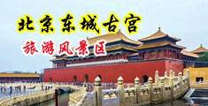 舔操骚逼阴蒂肥逼浪穴av中国北京-东城古宫旅游风景区